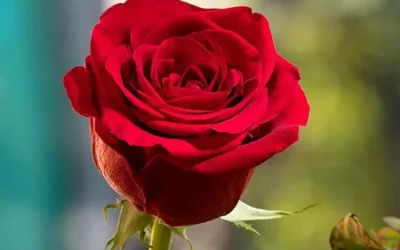 مزایای لابیاپلاستی با لیزر