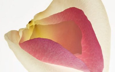 مزایایی که جراحی زیبایی واژن برای شما دارد